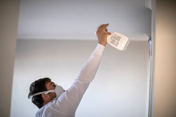 Professional Mold Remediation in North New Hyde Park, NY
